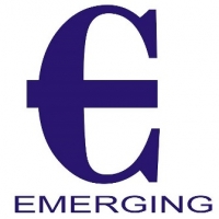 Emerging Consultancy Services