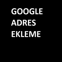 google harita kaydı