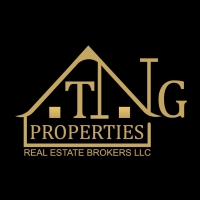 TNG Properties