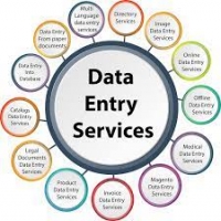 Dubai Data Entries 