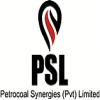 Petrocoal Synergies (PVT.) Limited